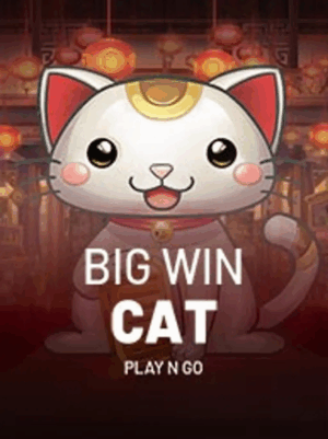 Big Win Cat