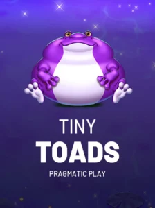 Tiny Toads