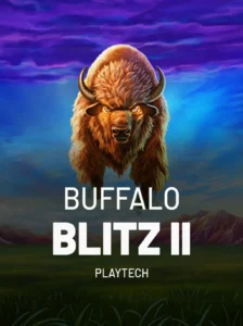Buffalo Blitz II Cover Image