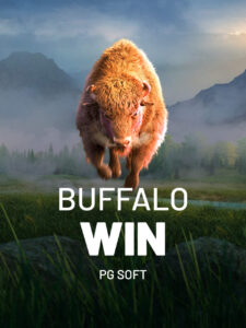 Buffalo Win PG Soft