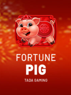 Fortune Pig