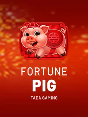 Fortune Pig